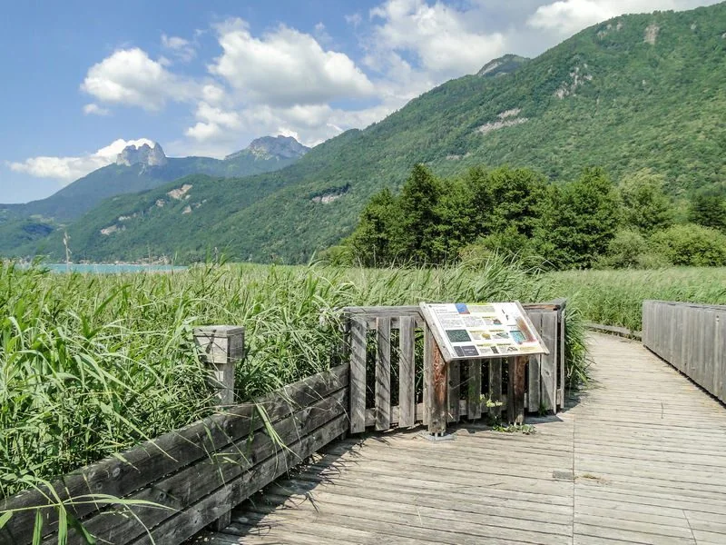 Réserve naturelle du Bout du Lac — Trail and vegetation