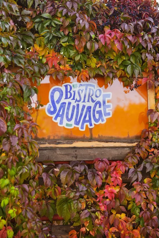 Photographie de Bistro Sauvage